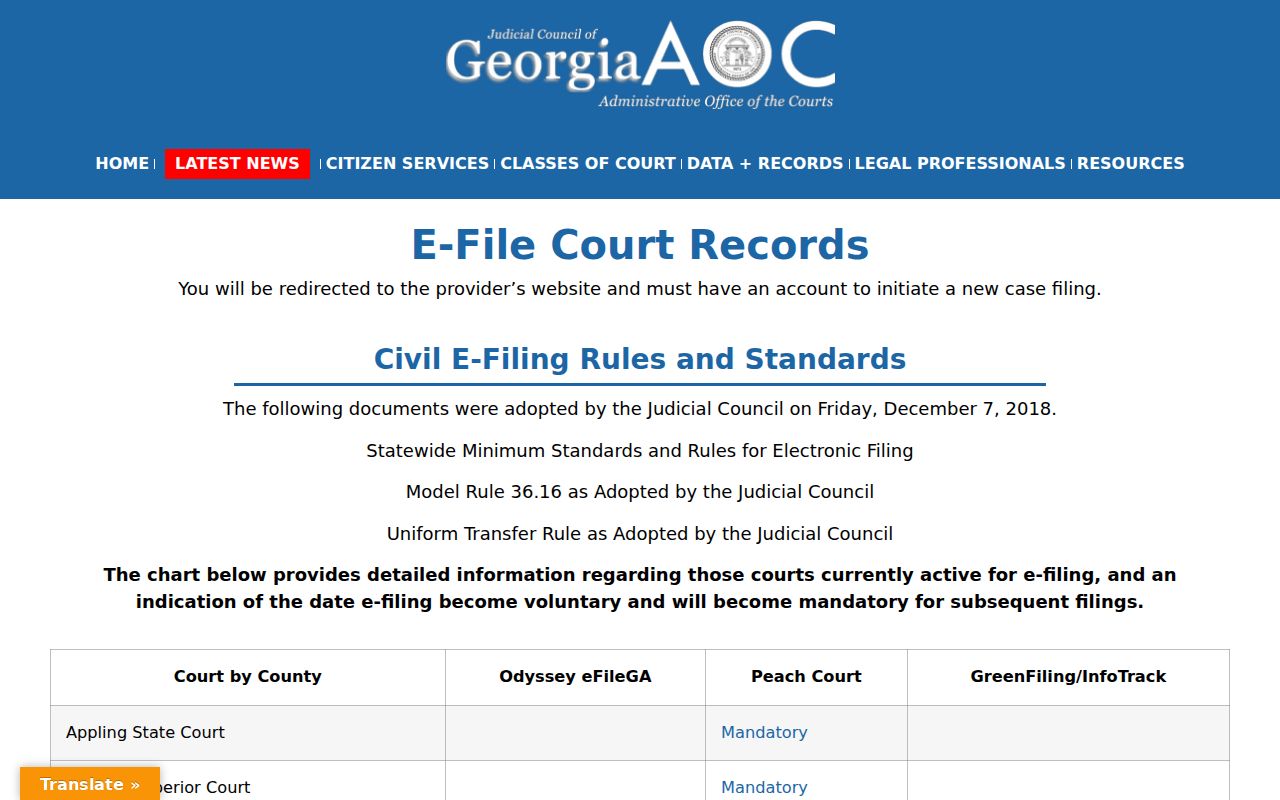 Polk County case lookup route in the Georgia e-file provider directory